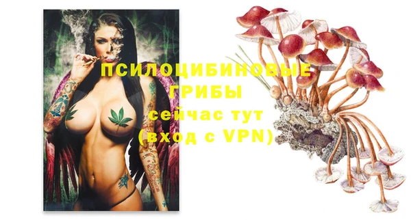 MDMA Premium VHQ Красноперекопск